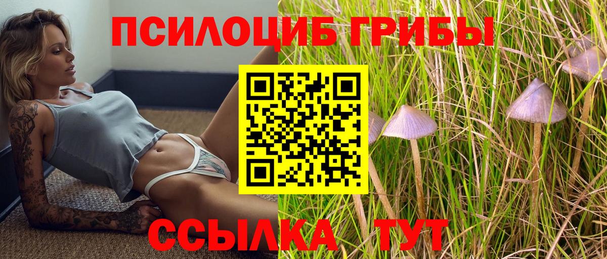 Галлюциногенные грибы мицелий Куйбышев