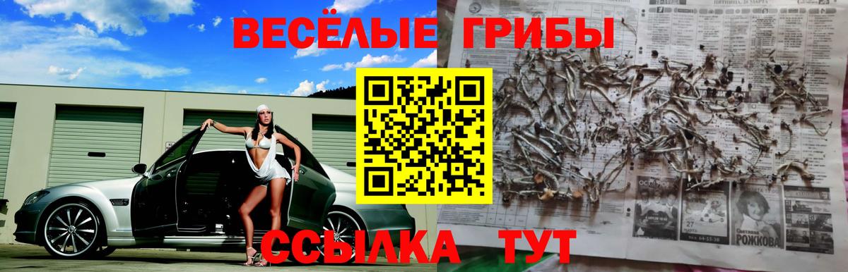 Галлюциногенные грибы Psilocybe  Вход с VPN  Псилоцибиновые грибы мухоморы  Куйбышев 